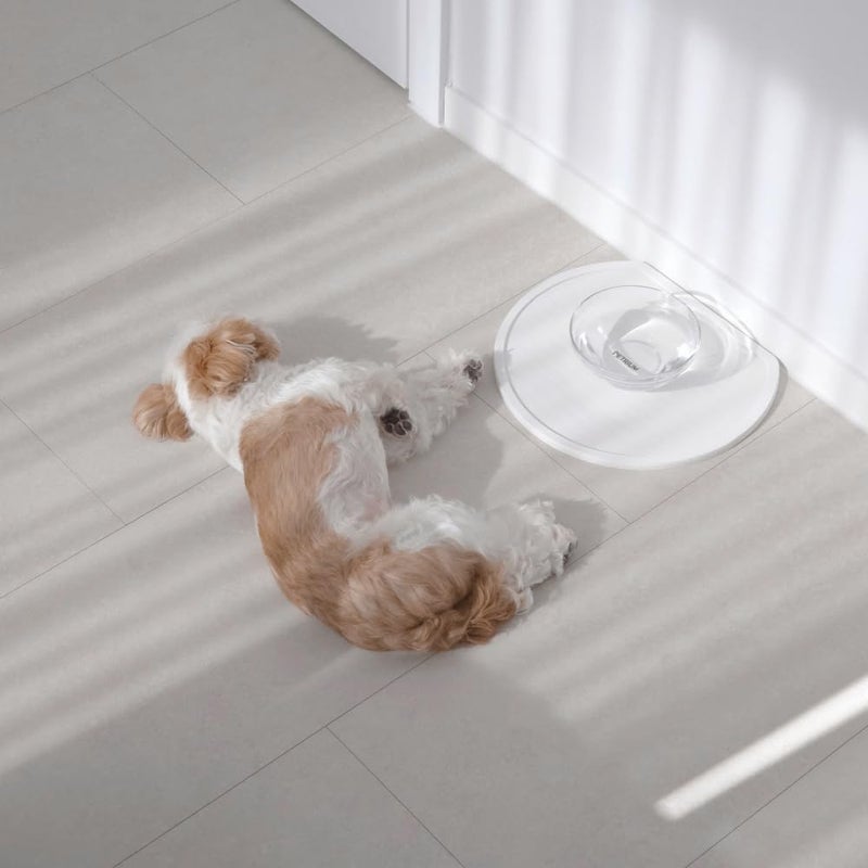 PETRIUM Stone Dry Mat for Pets, Absorbent Pet Feeding Mat for Food, Water Bowls Quick Drying Mat for Pet Cat Water Fountains Natural Diatomaceous Earth Non-Slip Dog Cat Accessories for Messy Drinkers - Image 2